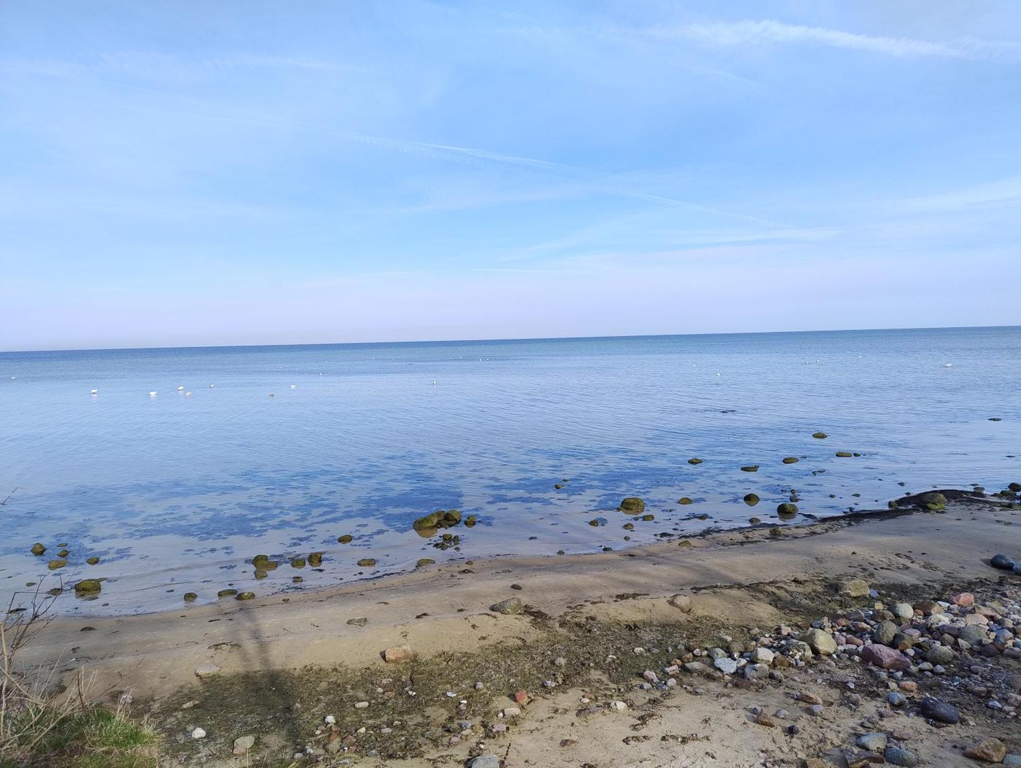 Ostseegolf - *
