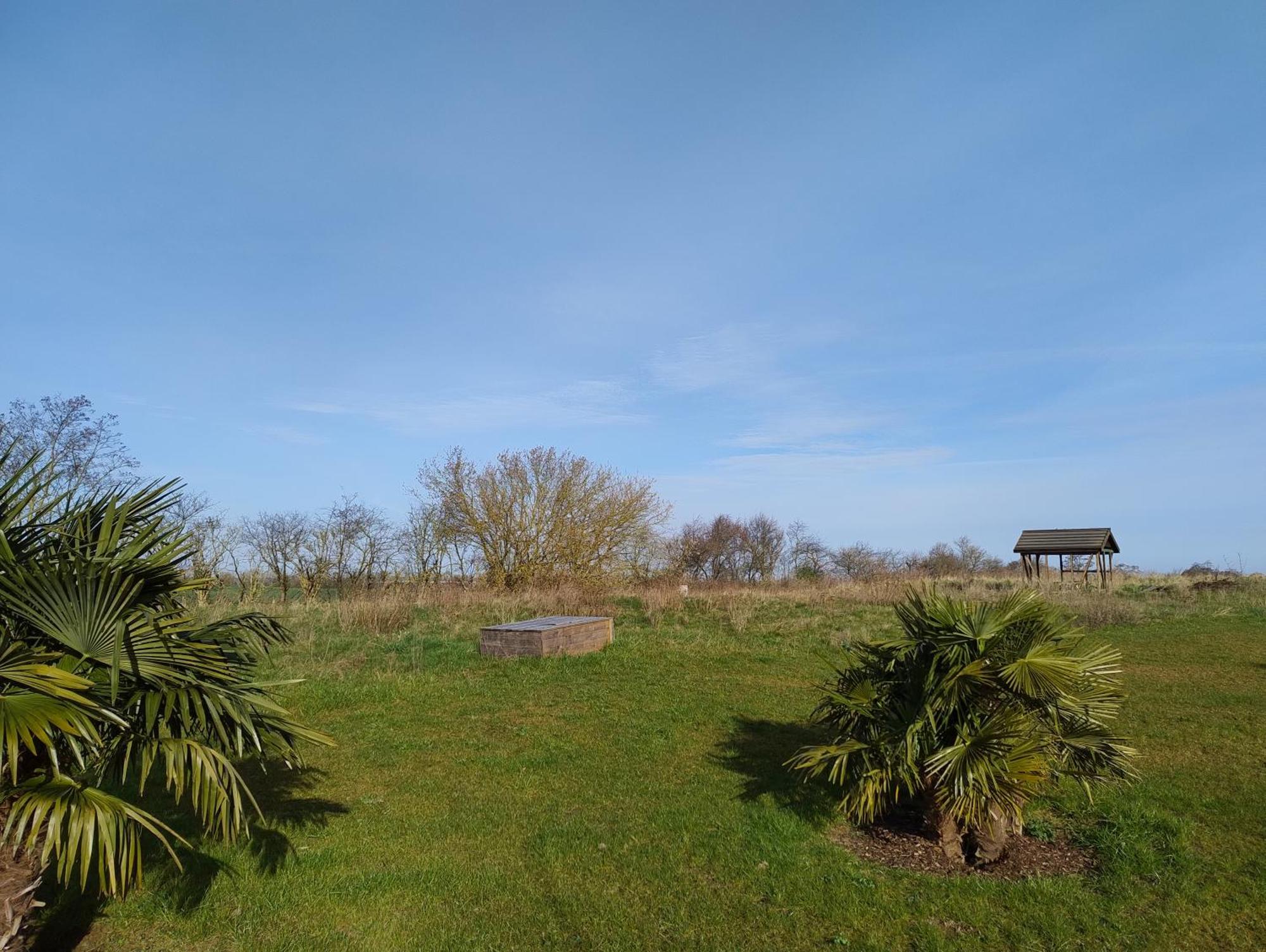 Ostseegolf - Hohen Wieschendorf